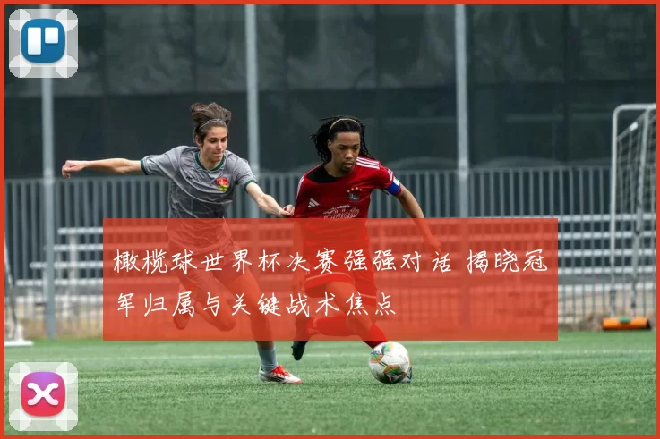 橄榄球世界杯决赛强强对话 揭晓冠军归属与关键战术焦点