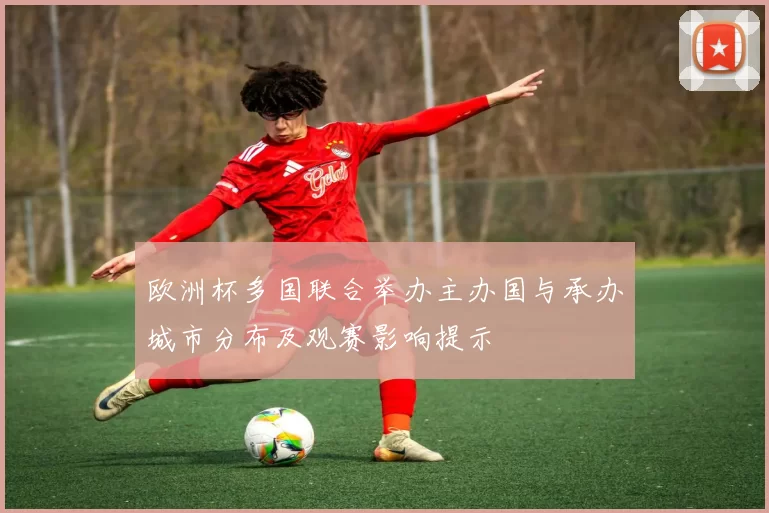 欧洲杯多国联合举办主办国与承办城市分布及观赛影响提示