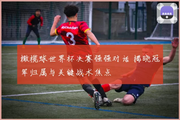 橄榄球世界杯决赛强强对话 揭晓冠军归属与关键战术焦点