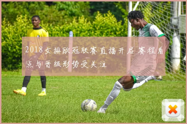 2018女排欧冠联赛直播开启 赛程看点与晋级形势受关注